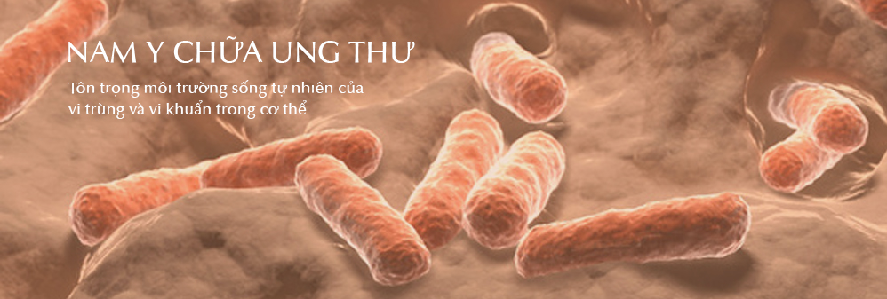 Chữa ung thư bằng Nam Y  